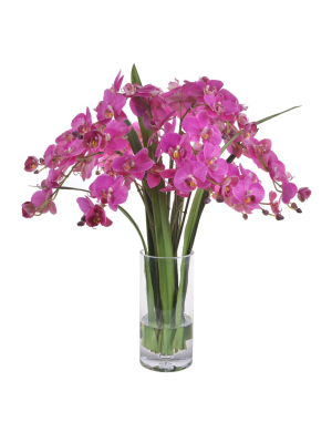 Phalaenopsis Orchids In Glass Vase