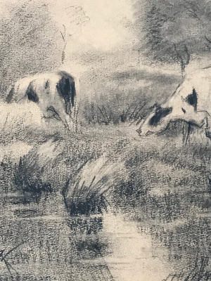 Evert Rabbers Cow Drawing 11