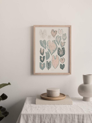 Caladiums Art Print