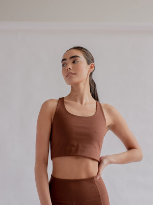 Paloma Sports Bra In Earth