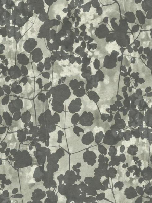 Pressed Leaves Wallpaper In Dark Grey From The Botanical Dreams Collection By Candice Olson For York Wallcoverings