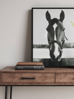 24" X 30" Black And White Horse Framed Canvas - Threshold™