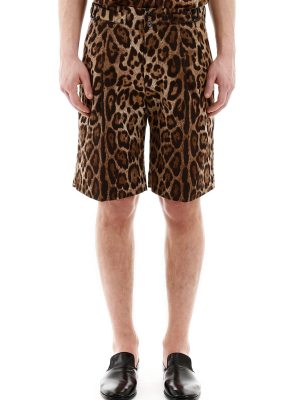 Dolce & Gabbana Leopard Print Bermuda Shorts