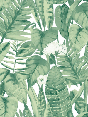 Tropical Self Adhesive Wallpaper In Jungle Green Design By Tempaper