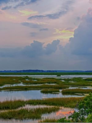 Sunset Marsh