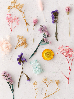 Dried Floral Bunch