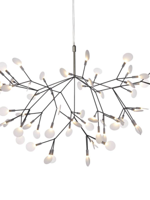 Heracleum Ii Suspension Lamp