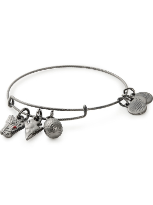 Game Of Thrones, Targaryen Charm Bangle