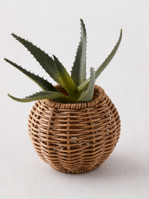 Wyn Mini Woven Planter