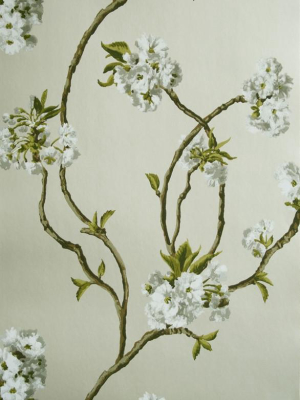 Orchard Blossom Wallpaper 05 By Nina Campbell For Osborne & Little