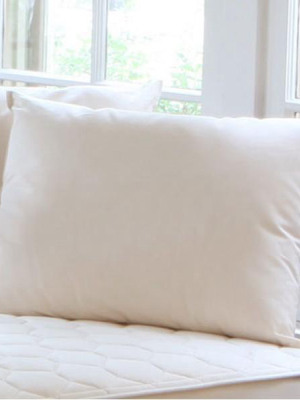 Naturepedic Organic Cotton/pla Pillow