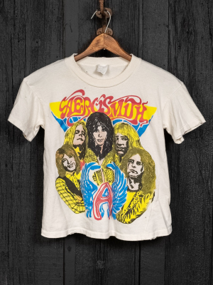 Aerosmith Dream On Crop