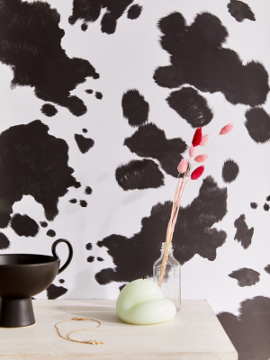 Cow Removable Wallpaper