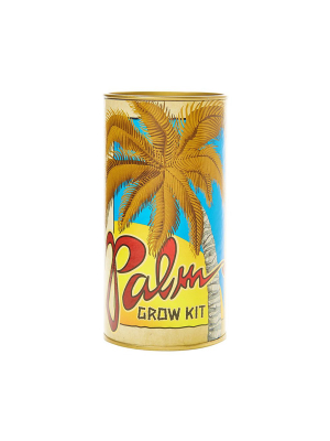 Palm Tree - Seed Grow Kit - Royal Palm