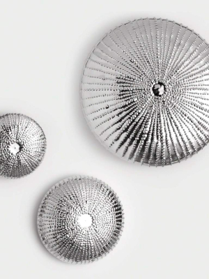 Sea Urchin Wall Sculpture - Nickel - Large