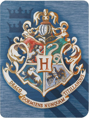 The Northwest Company Harry Potter Wizard Banner, Blue