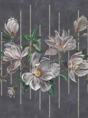 Magnolia Frieze Wall Mural In Charcoal And Pink From The Folium Collection By Osborne & Little