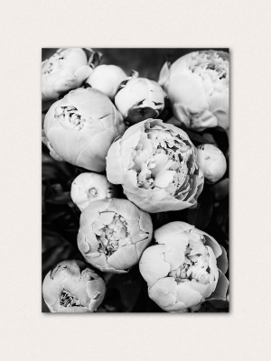 Peonies Bw