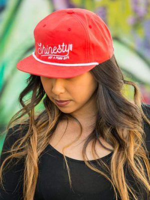 We're Not A Porn Site | Shinesty Snapback Hat