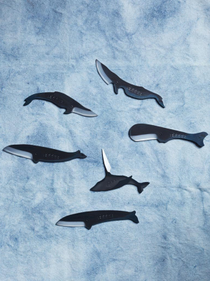 Kujira Knife - Sperm Whale