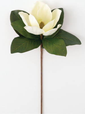 Sullivans Artificial Magnolia Stem 18.5"h Cream