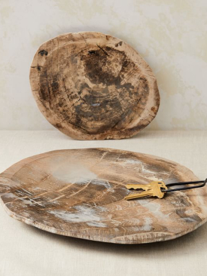 Petrified Wood Tray