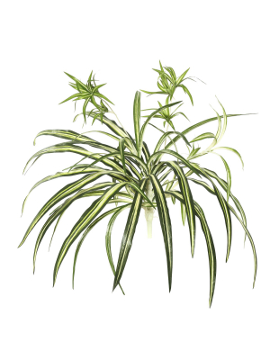 Vickerman 24" Artificial Green Spider Plant.