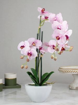 Northlight 21" Pink And White Artificial Orchid Plant In A White Pot