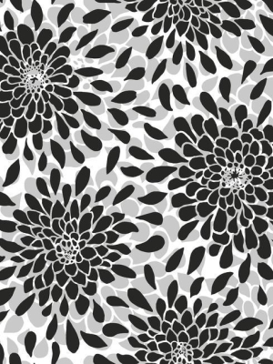 Toss The Bouquet Peel & Stick Wallpaper In Black By Roommates For York Wallcoverings