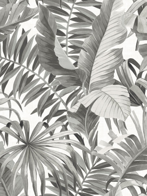 Alfresco Tropical Palm Wallpaper In Grey From The Pacifica Collection By Brewster Home Fashions