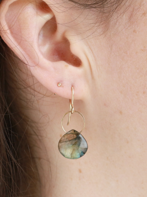 Labradorite Single Drop Earrings