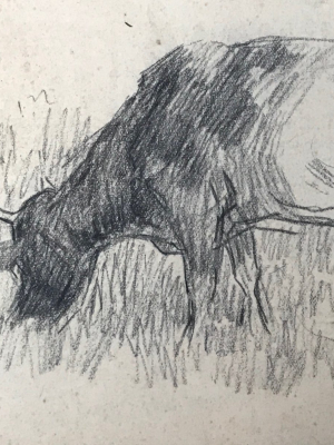 Evert Rabbers Cow Drawing 22