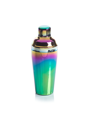 Regenboog Stainless Steel Cocktail Shaker