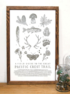 Pacific Crest Trail Field Guide Print