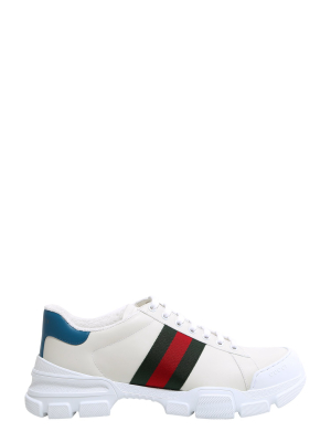 Gucci Web Sneakers