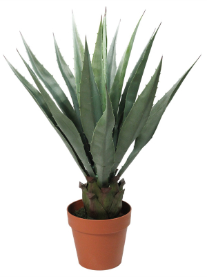 Northlight 31.5" Aloe Succulent Artificial Potted Plant - Green