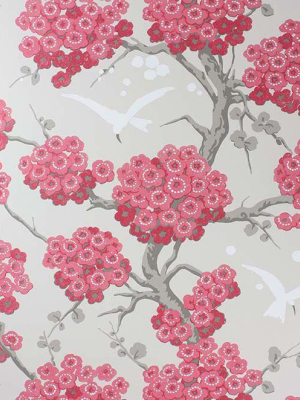 Sample Japonerie Wallpaper In Red And Tan From The Verdanta Collection By Osborne & Little