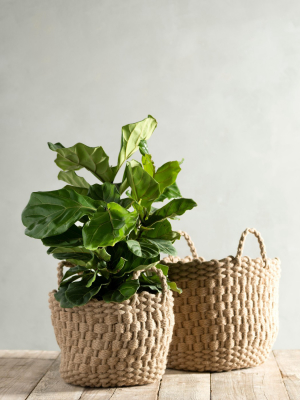 Assorted Set Of 2 Round Dharma Baskets - Brown - Shiraleah