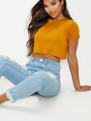 Basic Mustard Roll Sleeve Crop T Shirt