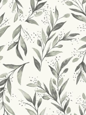 Olive Branch Wallpaper In Charcoal From Magnolia Home Vol. 2 By Joanna Gaines