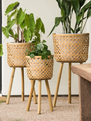Bohemian Plant Stand
