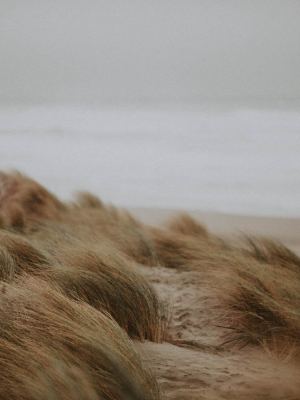 Photographic Print | Ocean Beach