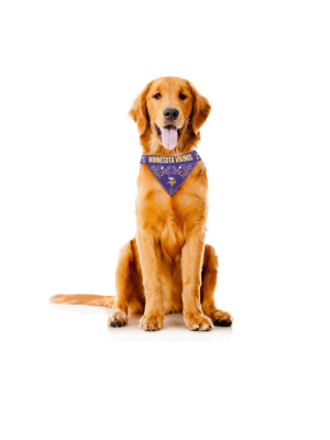 The Minnesota Vikings | Pet Bandana