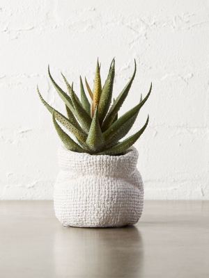 Potted Faux Aloe Plant 6"