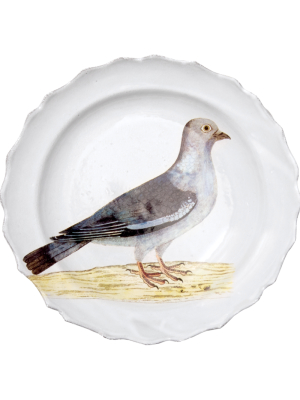 Stock Dove Soup Plate