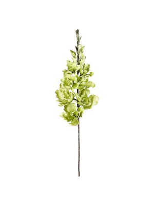 Desert Gladiolus 14 Bloom 50" Stem In Green