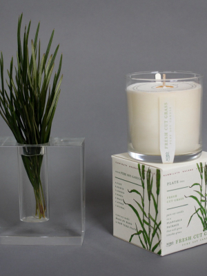 Seed Soy Candle (grows Plant!)