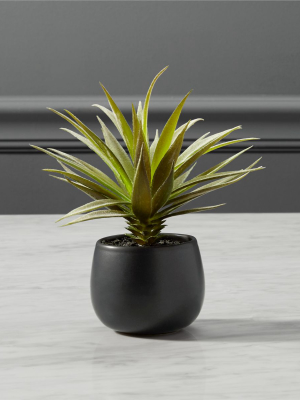 Faux Potted Succulent With Black Pot 7"