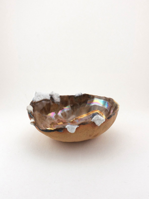 Iceland Shell With Gold Ripple - Mini