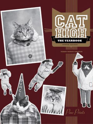 Cat High